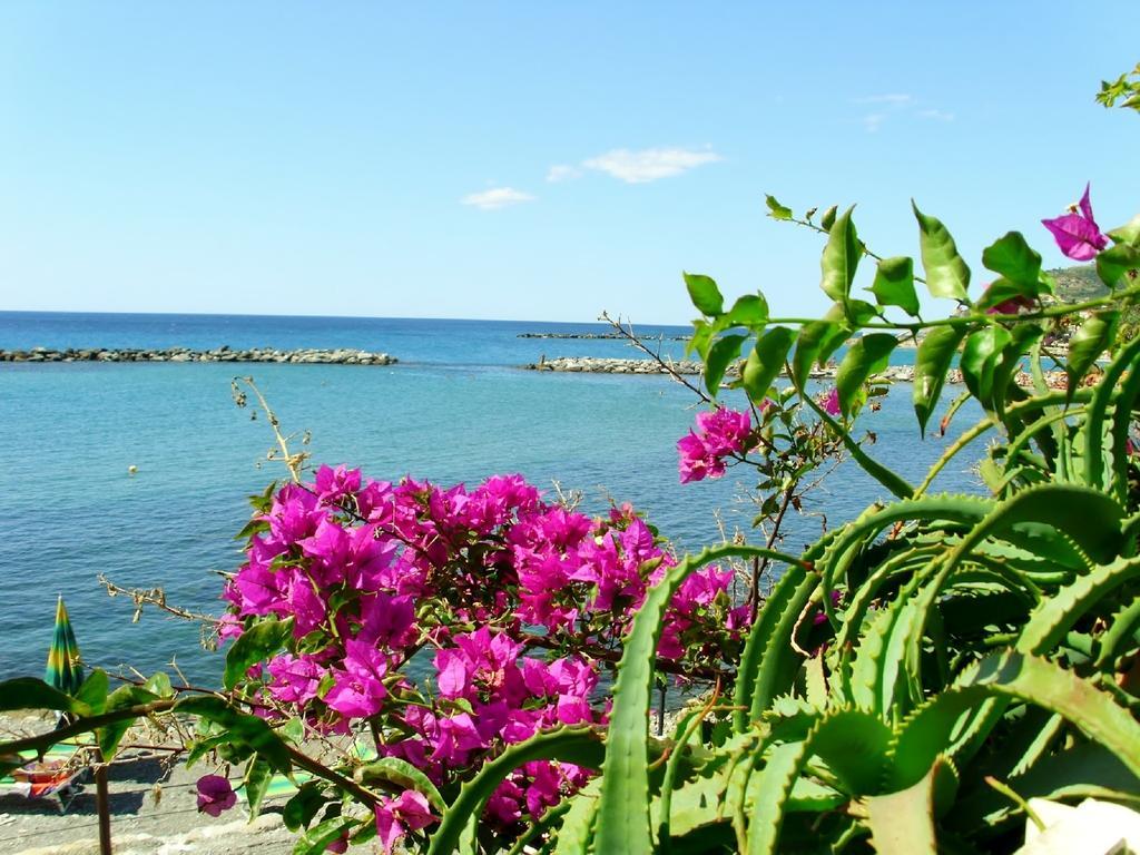 Hotel Paradiso Sanremo Ngoại thất bức ảnh